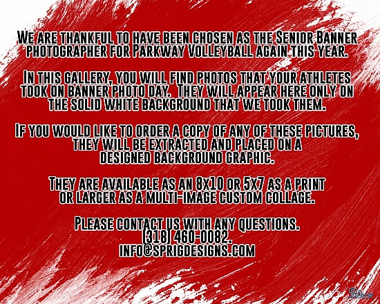 Parkway Volleyball Seniors